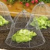Chicken Wire Cloche -Green Garden Shop 8590210 2408 wire cloche colonial tin works tif