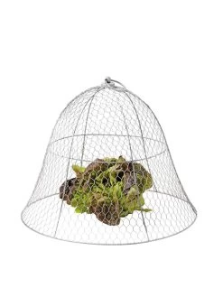 Chicken Wire Cloche -Green Garden Shop 8590210 675 tif
