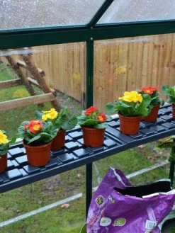 Canopia® By Palram Shelf Kit For Greenhouses, Set Of 2 Shelves 14 Canopia® By Palram Shelf Kit For Greenhouses, Set Of 2 Shelves -Green Garden Shop 8591033 09V jpg