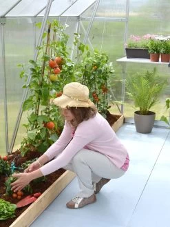 Canopia® By Palram Essence™ Greenhouse, 8' X 12' -Green Garden Shop 8591356 04V tif