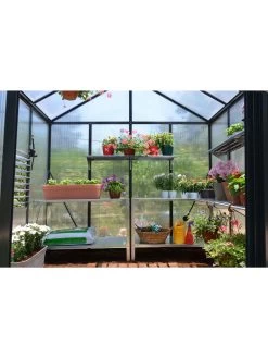 Canopia® By Palram Glory™ Greenhouse, 8' -Green Garden Shop 8591547 02v