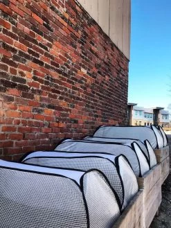 Row Shelter Accelerator -Green Garden Shop 8591990 01IN tif