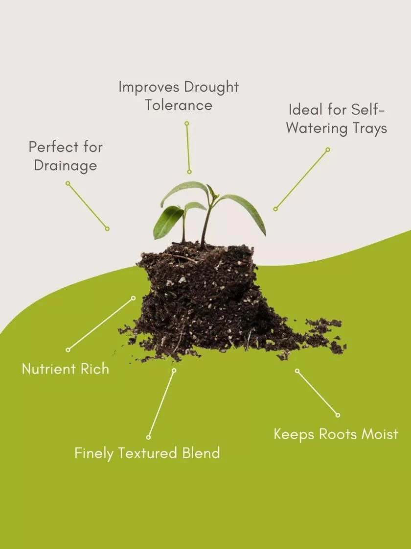 Seed Starting Mix, 9 Qts. 8 Seed Starting Mix, 9 Qts. - Image 6