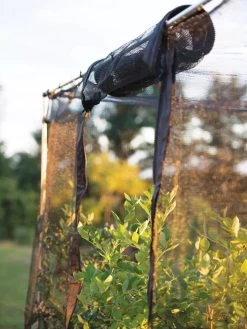 Storm Proof Crop Cage, Large -Green Garden Shop 8592463 115 tif