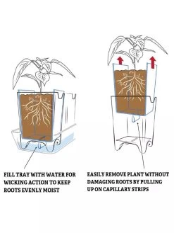 Pop-Out Pots, Set Of 4 13 Pop-Out Pots, Set Of 4 -Green Garden Shop 8593943 2