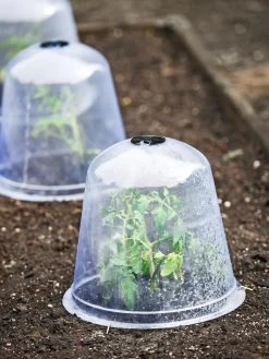 Large Garden Cloches, Set Of 3 -Green Garden Shop 8593984 9432 tif