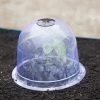 Medium Garden Cloches, Set Of 6 -Green Garden Shop 8593985 347 tif