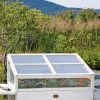 Cold Frame For Compact VegTrug® -Green Garden Shop 8594059 1038 tif