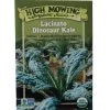 Lacinato Dino Kale Organic Seeds -Green Garden Shop 8594082 9241 tif