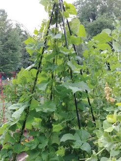 Titan Teepee Trellis -Green Garden Shop 8595757 01EMP tif