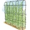 Titan Pea Tunnel -Green Garden Shop 8596275 0002 1 tif