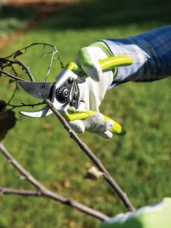 Gardener's Pro Pruner #2 -Green Garden Shop 8596605 032 tif