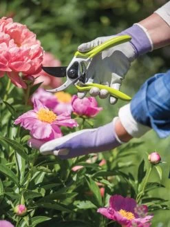 Gardener's Pro Pruner #2 -Green Garden Shop 8596605 1261 tif