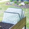 Pop-Up Crop Protector 1 Pop-Up Crop Protector -Green Garden Shop 8596763 17310 tif