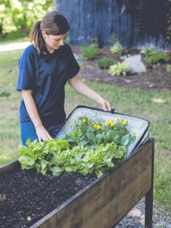 Pop-Up Crop Protector -Green Garden Shop 8596763 EasyCropProtector gif