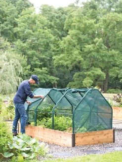 3-Season Plant Protection Tent, 4' X 8' 10 3-Season Plant Protection Tent, 4' X 8' -Green Garden Shop 8598282 0101 tif