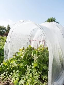 Super Hoop Bases, Set Of 6 -Green Garden Shop 8598301 0591 tif