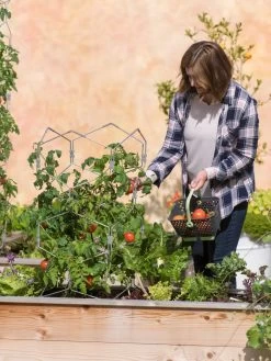 Gardener's Vertex Lifetime Tomato Cage -Green Garden Shop 8598426 0026 tif