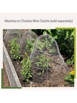 Chicken Wire Cloche Extension -Green Garden Shop 8599107 2