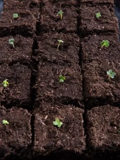 Vermont Compost Company Fort Vee™ Potting Mix, 20 Quarts -Green Garden Shop 8599281 5930