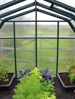 Canopia® By Palram Hobby Gardener Greenhouse, 8' -Green Garden Shop 8599331 05V tif