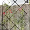 Achla Designs Freestanding Lattice Trellis -Green Garden Shop 8599475 01V tif