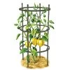 Titan Pepper Eggplant Cages, Set Of 3 -Green Garden Shop 8599859 0001 art tif