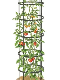 Titan Tall Tomato Cages, Set Of 3 -Green Garden Shop 8599860 0002 art tif