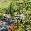 Titan Tomato Cages, Set Of 3 -Green Garden Shop 8599861 0049 tif