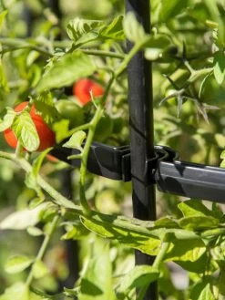 Titan Tomato Cages, Set Of 3 -Green Garden Shop 8599861 0079 tif