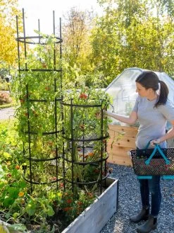 Titan Tomato Cages, Set Of 3 -Green Garden Shop 8599861 0114 tif