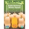 Brulee Butternut Squash Organic Seeds -Green Garden Shop 8599867 02v brulee butternut squash organic seeds