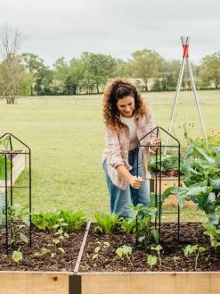 Zenith Folding Garden Supports, Set Of 2 -Green Garden Shop 8600073 324 tif