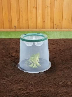 Sunny Forcing Cloches, Set Of 3 -Green Garden Shop 8600075 02V tif