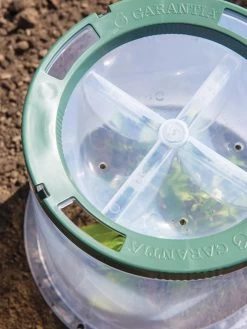 Sunny Forcing Cloches, Set Of 3 -Green Garden Shop 8600075 0742 tif