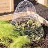 Chicken Wire Cloche With Extension -Green Garden Shop 8600116 0482 tif