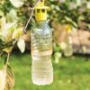 Bottle Insect Traps, Set Of 6 -Green Garden Shop 8600119 0532 tif