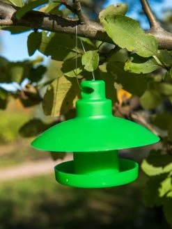 Slug And Snail Traps, Set Of 3 -Green Garden Shop 8600120 1792