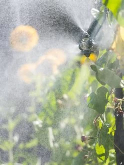 Landscape 4-Way Cooling Mist Kit, 50' 12 Landscape 4-Way Cooling Mist Kit, 50' -Green Garden Shop 8600154 0695 tif