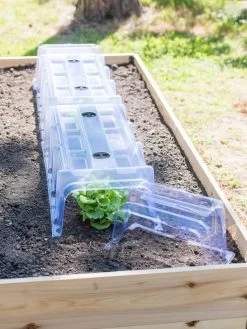 Cool Weather Row Cloches Set -Green Garden Shop 8600266 17379 tif 1