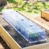 Cool Weather Row Cloches Set -Green Garden Shop 8600266 17387 tif