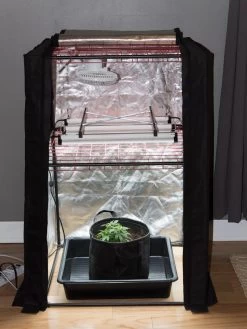 Hemp Grow Kit -Green Garden Shop 8600301 0590 tif