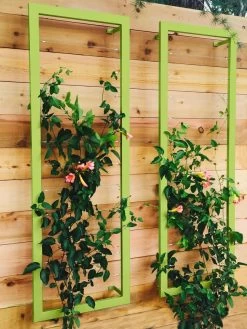 Ina Modern Wall Trellis Sr. -Green Garden Shop 8600510 01V tif