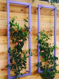 Ina Modern Wall Trellis Sr. -Green Garden Shop 8600510 07V tif