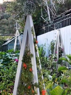 Akoris Garden Tuteur Jr. -Green Garden Shop 8600517 07V tif