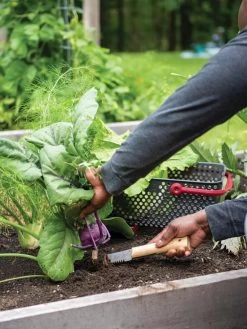 Gardener's Lifetime Hori Hori Knife 9 Gardener's Lifetime Hori Hori Knife -Green Garden Shop 8608888 0422 tif