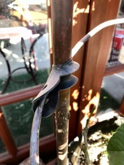 Garden Cane Connects, Set Of 6 8 Garden Cane Connects, Set Of 6 -Green Garden Shop 8609019 03V tif