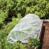 Easy Plastic Garden Tunnel -Green Garden Shop 8609052 0405 tif