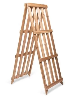 Cedar Shrub Guard -Green Garden Shop 8609071 5061