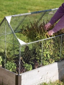 Chicken Wire Crop Coop -Green Garden Shop 8609080 0187